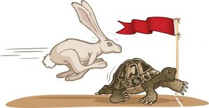 tortoise-and-the-hare